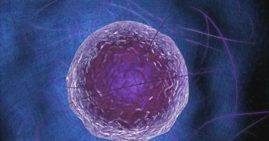 Прорыв в онкологии. Ученые проникают внутрь ядра клетки.